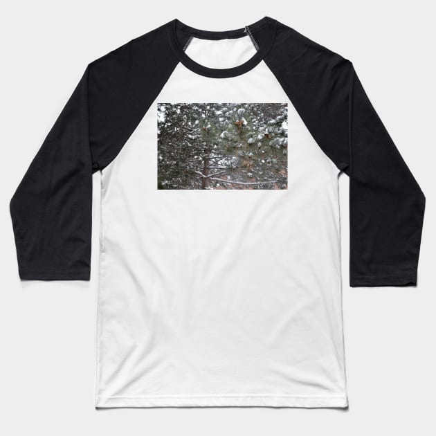 Pine dusted Baseball T-Shirt by srosu